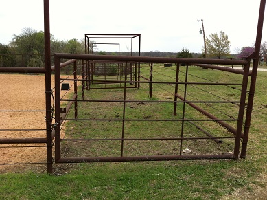 Arena