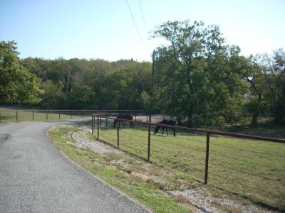 Pasture
